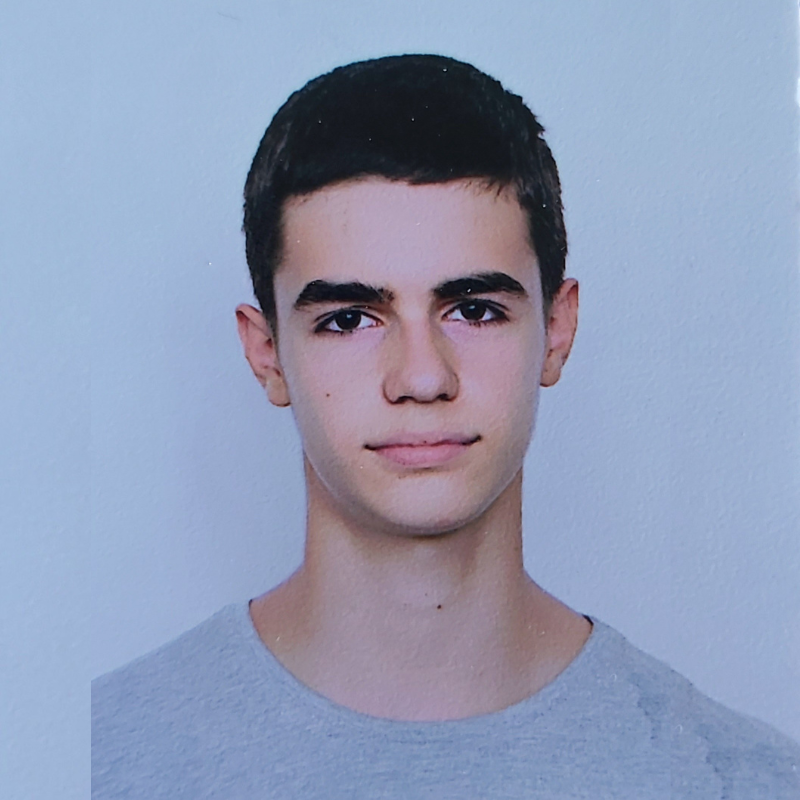 Pavle Perić